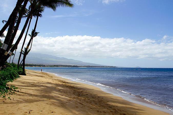 Kealia Resort 502 Kihei Eksteriør bilde